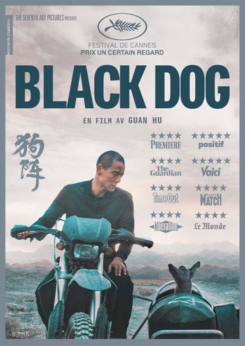  Black Dog